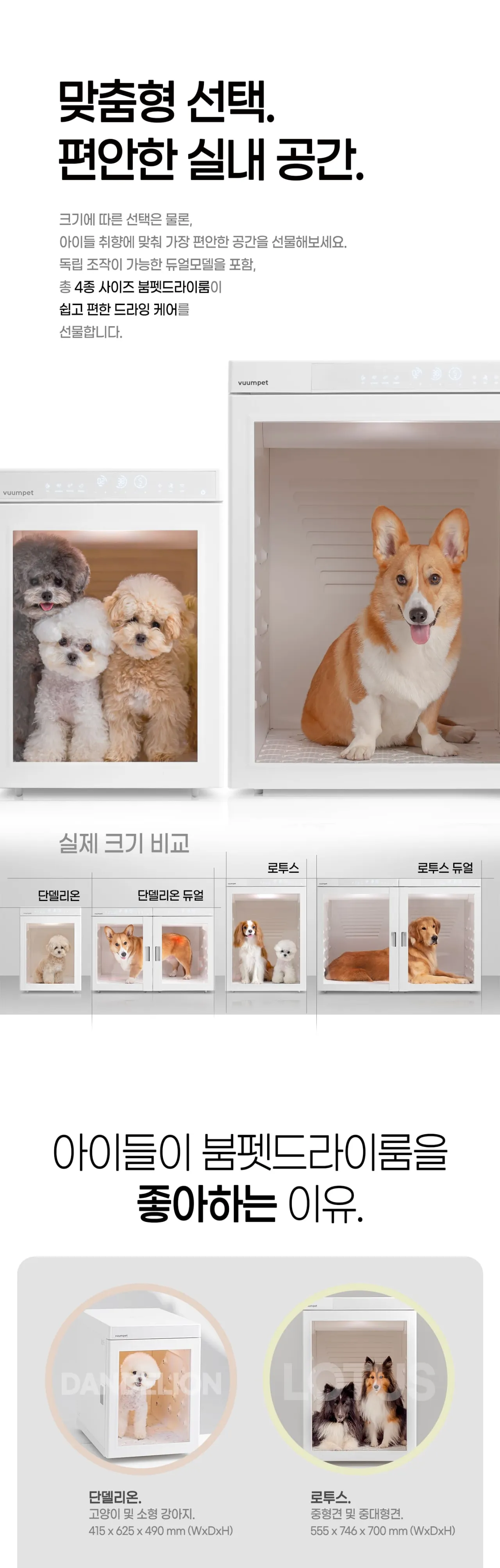 붐펫 펫드라이룸(로투스) 상세 이미지 5
