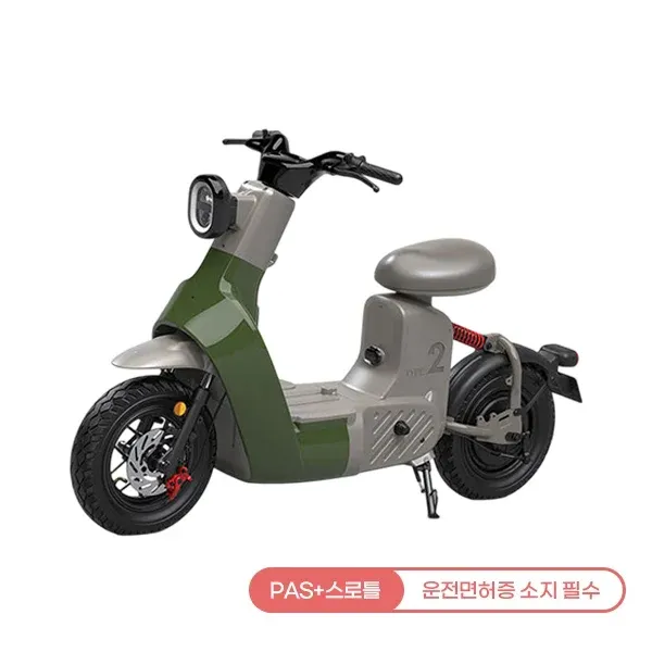 [레이윙] 타입2 전동스쿠터 TYPE 2_24A (그린) (48개월)
